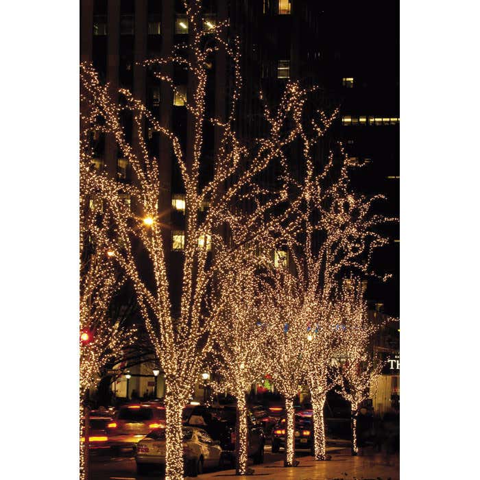 LED Rubber String Light Static 10m Vit - Showtec | Bellalite LED Rubber String Light Static 10m Vit - Showtec | Bellalite