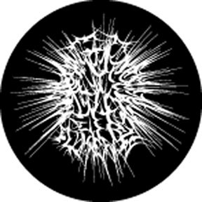 Big Bang - Rosco | Bellalite