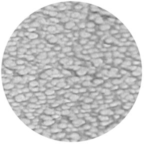 Blisters - Rosco | Bellalite Blisters - Rosco | Bellalite