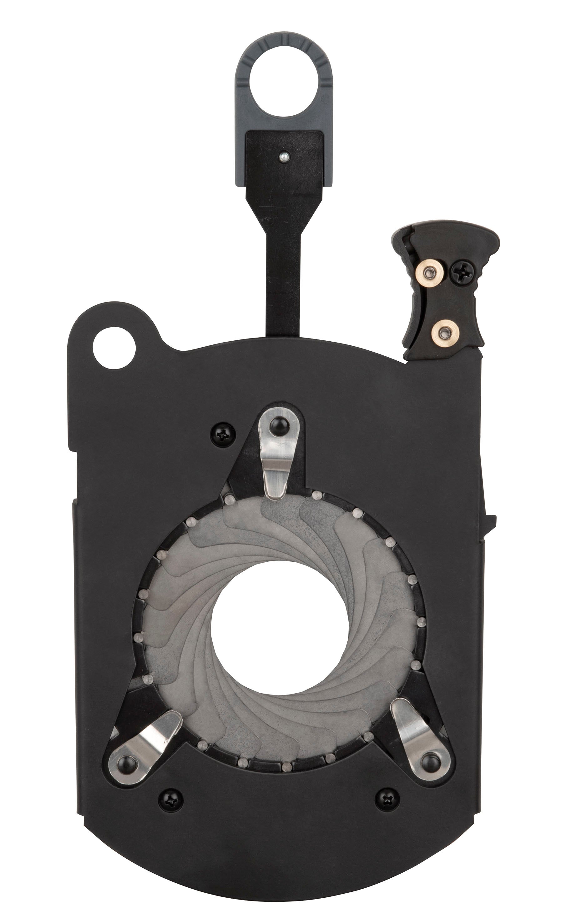 Infinity Iris  - Infinity | Bellalite