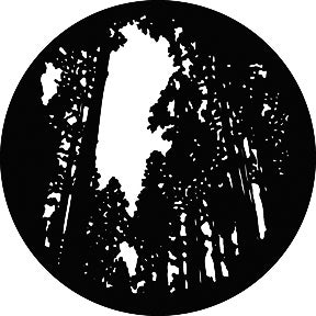 Tall Trees Metallgobo, (50mm/38mm) - Rosco | Bellalite