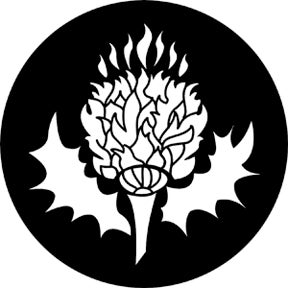 Thistle Metallgobo, A-Size (100mm) - Rosco | Bellalite