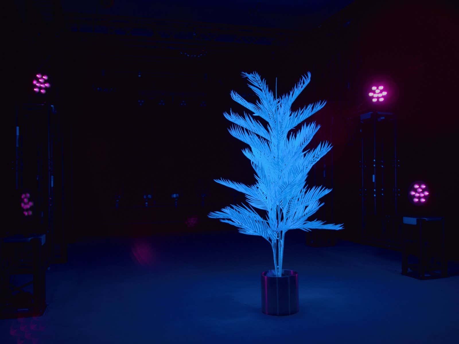 LED IP PAR 9 UV Spot - Eurolite | Bellalite LED IP PAR 9 UV Spot - Eurolite | Bellalite