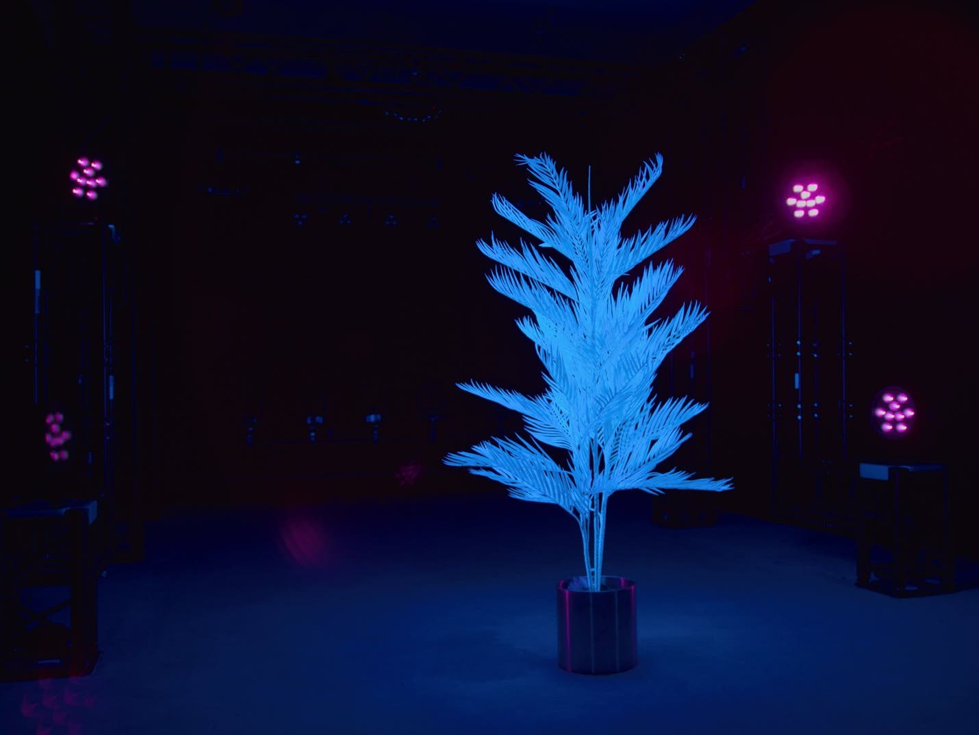 LED IP PAR 9 UV Spot - Eurolite | Bellalite LED IP PAR 9 UV Spot - Eurolite | Bellalite