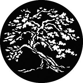 Twisted Tree Metallgobo,  E-Size (37,5mm) - Rosco | Bellalite