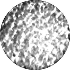 Reflections - Rosco | Bellalite Reflections - Rosco | Bellalite