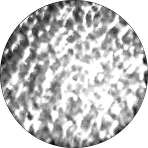 Reflections - Rosco | Bellalite Reflections - Rosco | Bellalite