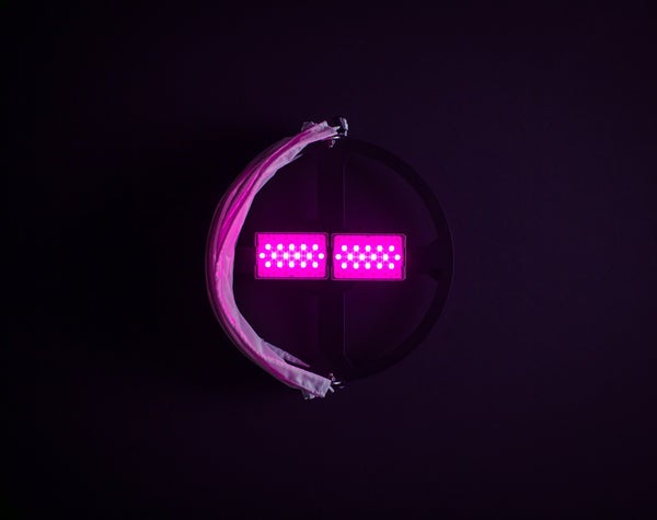 Lightsock Dome  - Lightsock | Bellalite