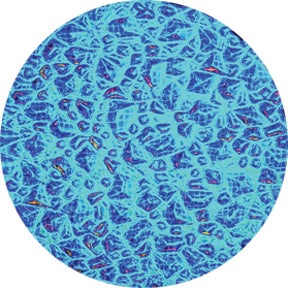 Cyan Sparkelite - Rosco | Bellalite