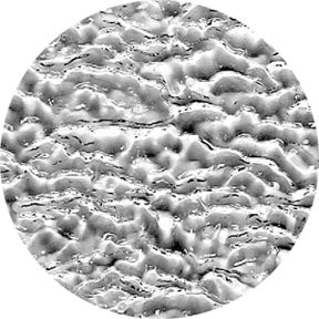 Ripple - Rosco | Bellalite