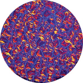 Indigo Sparkelite - Rosco | Bellalite