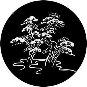 Bonsai - Rosco | Bellalite
