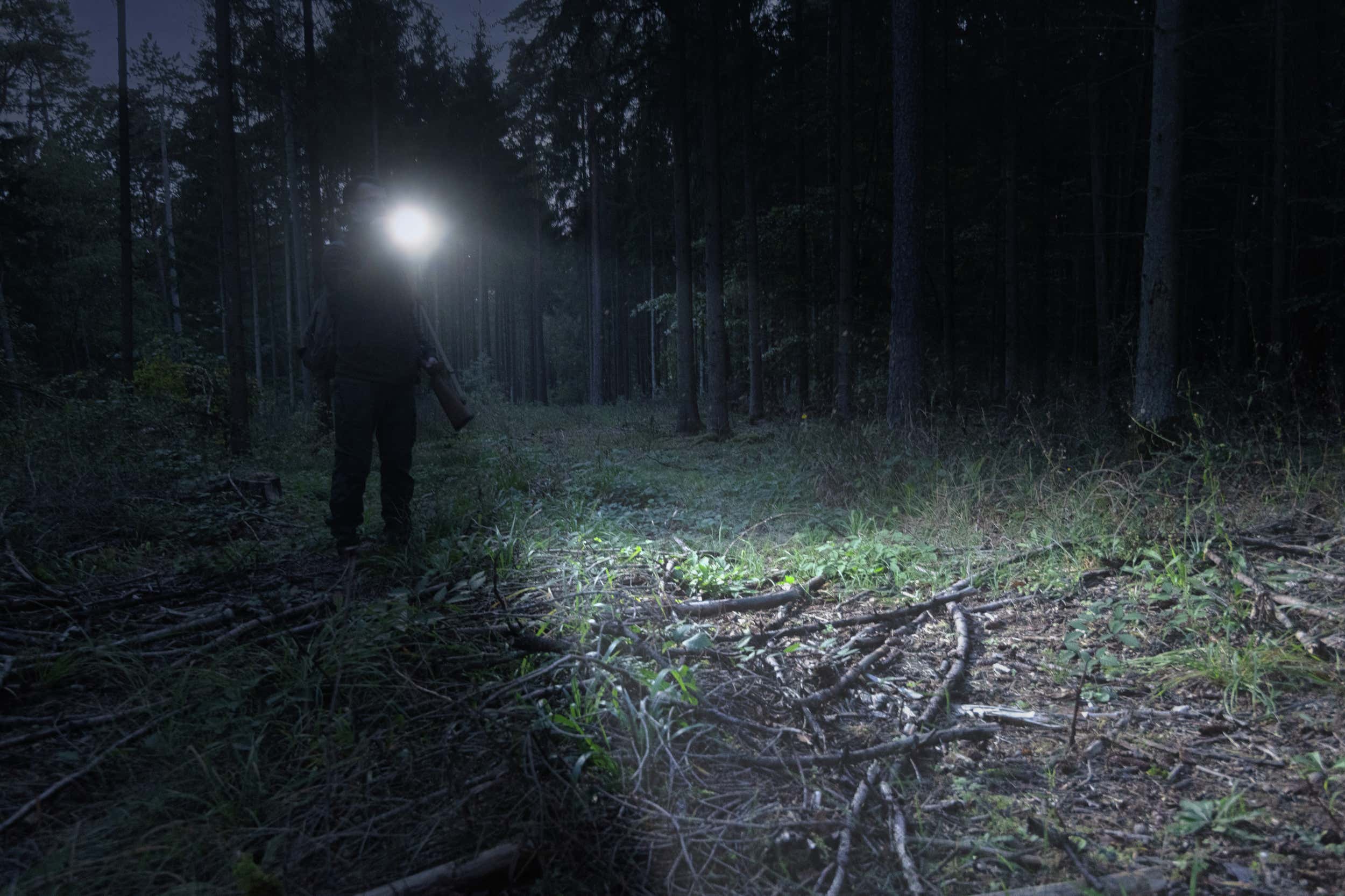 Ficklampa LED Torch T12000FR - Ansmann | Bellalite Ficklampa LED Torch T12000FR - Ansmann | Bellalite