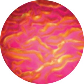 Magenta Ripple - Rosco | Bellalite