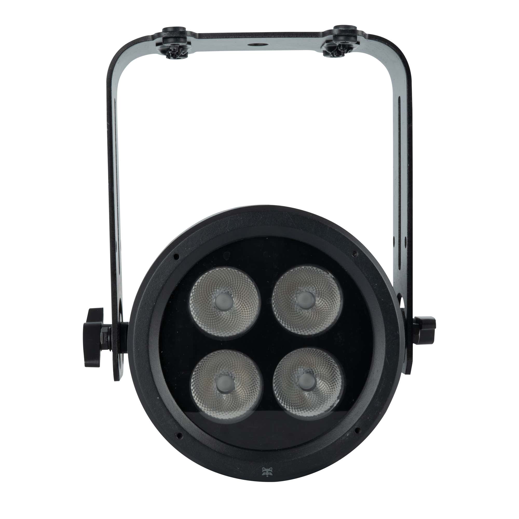 Infinity Raccoon Junior P4/7 - Infinity | Bellalite Infinity Raccoon Junior P4/7 - Infinity | Bellalite