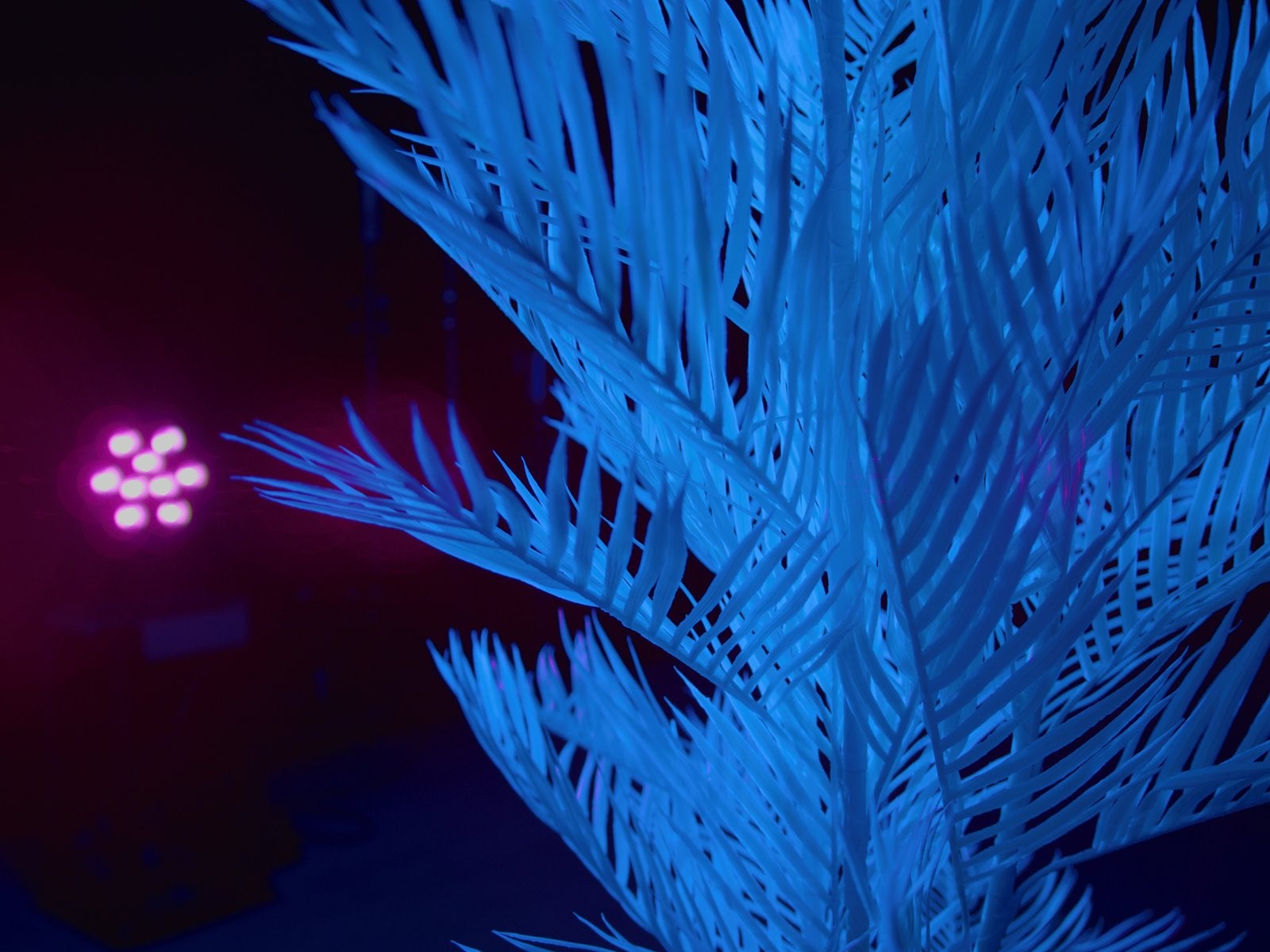 LED IP PAR 9 UV Spot  - Eurolite | Bellalite