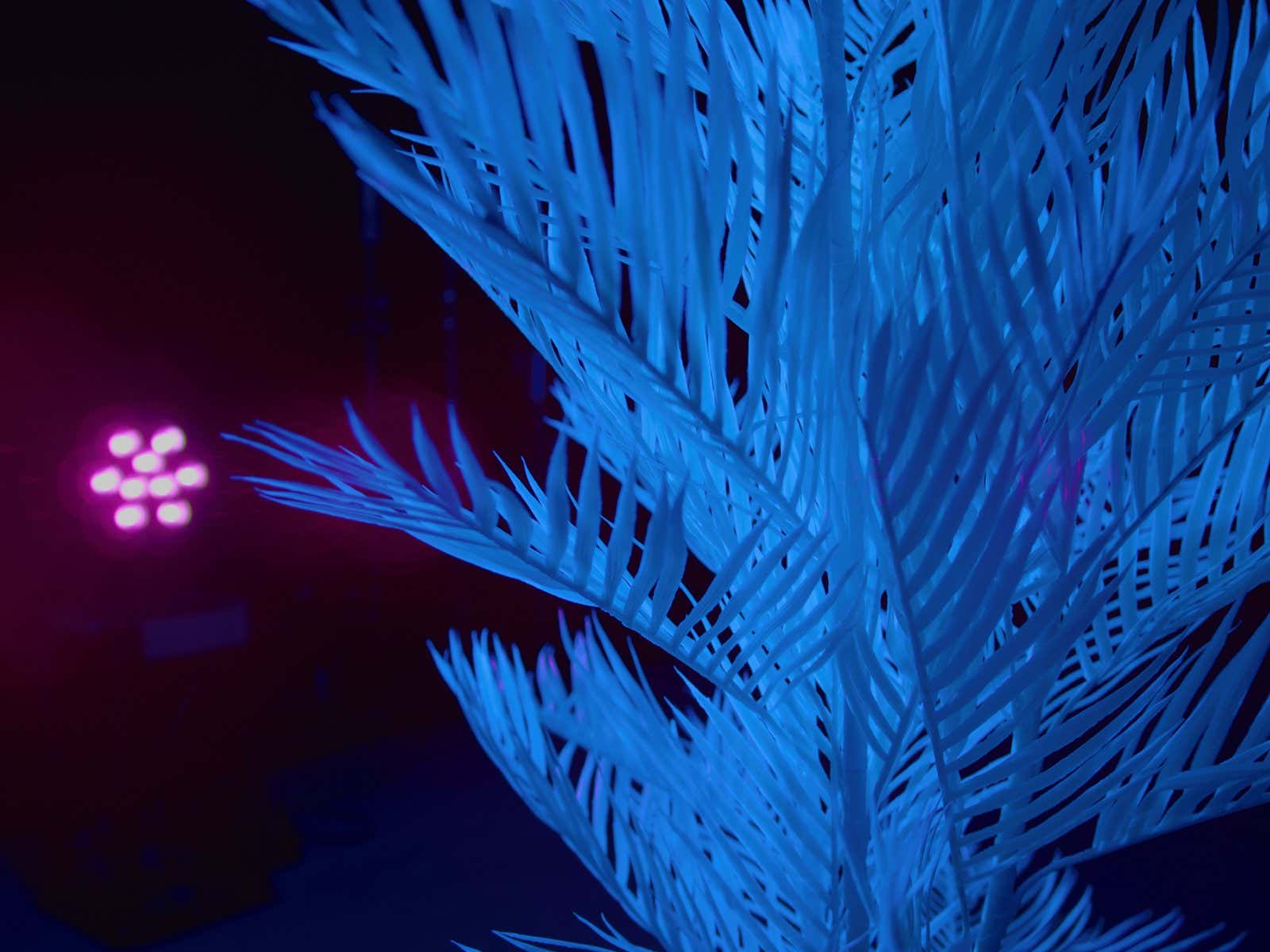 LED IP PAR 9 UV Spot - Eurolite | Bellalite LED IP PAR 9 UV Spot - Eurolite | Bellalite