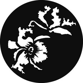 Exotic Flowers Metallgobo, M-Size (66mm) - Rosco | Bellalite