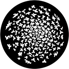 Swirling Leaves Metallgobo, D-Size (53,3mm) - Rosco | Bellalite Swirling Leaves Metallgobo, D-Size (53,3mm) - Rosco | Bellalite