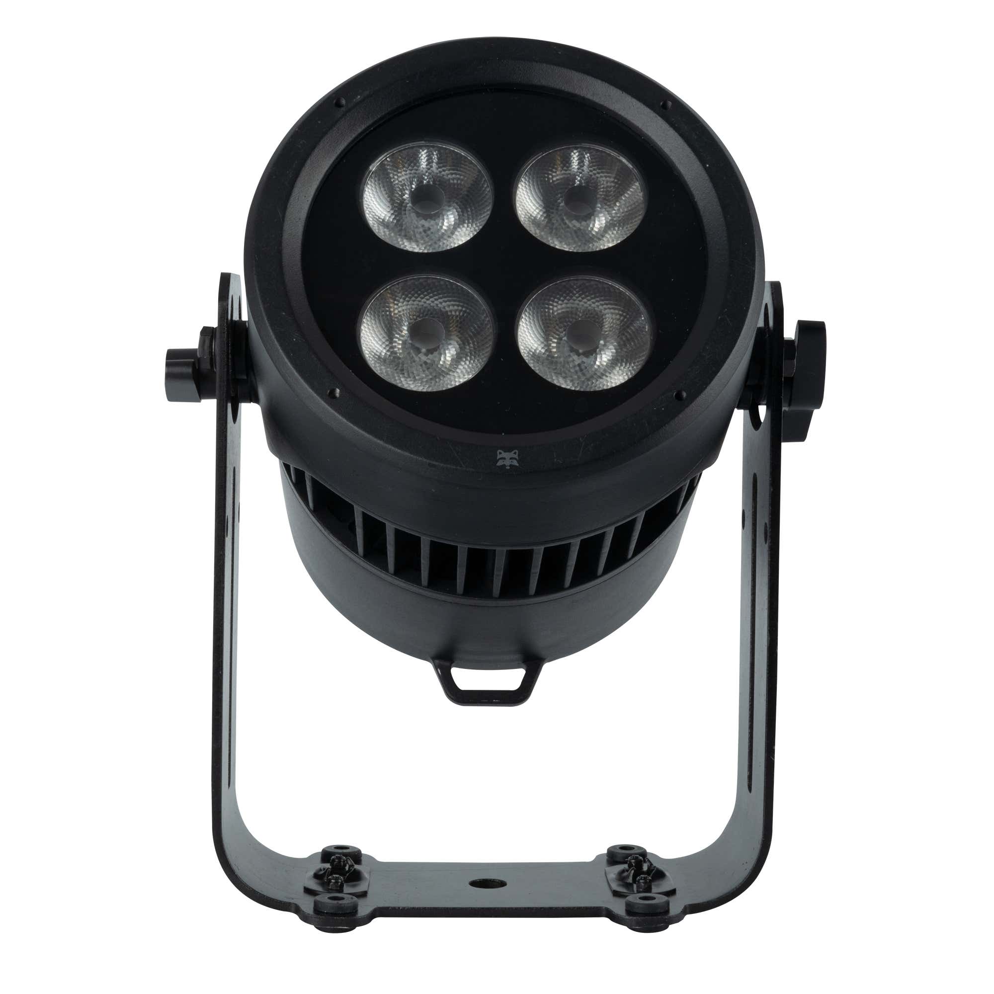 Infinity Raccoon Junior P4/7 - Infinity | Bellalite Infinity Raccoon Junior P4/7 - Infinity | Bellalite