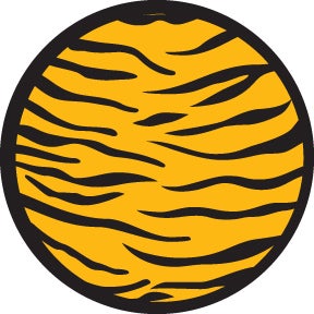 2 Color Tiger Print - Rosco | Bellalite