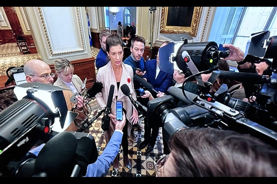 Fiilex P180S ENG On-Camera Light  - FIILEX | Bellalite