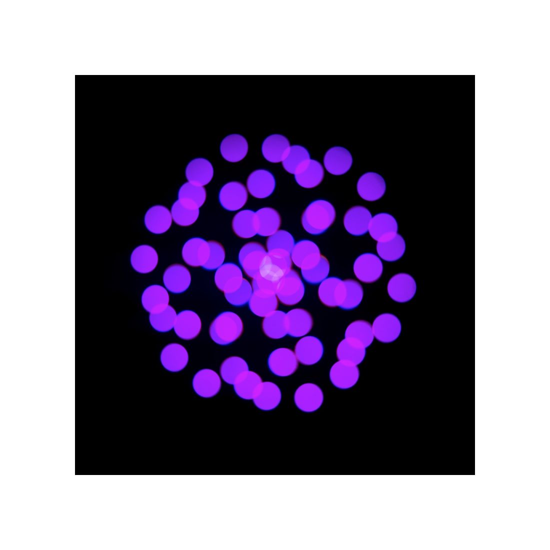 Focus CMY Compact  - ADJ Select | Bellalite