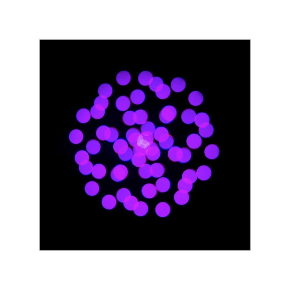 Focus CMY Compact - ADJ Select | Bellalite Focus CMY Compact - ADJ Select | Bellalite
