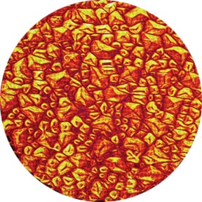 Red Sparkelite - Rosco | Bellalite