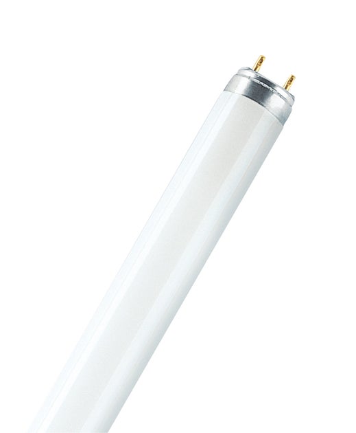 LUMILUX T8 L 18W/840 - Ledvance | Bellalite LUMILUX T8 L 18W/840 - Ledvance | Bellalite
