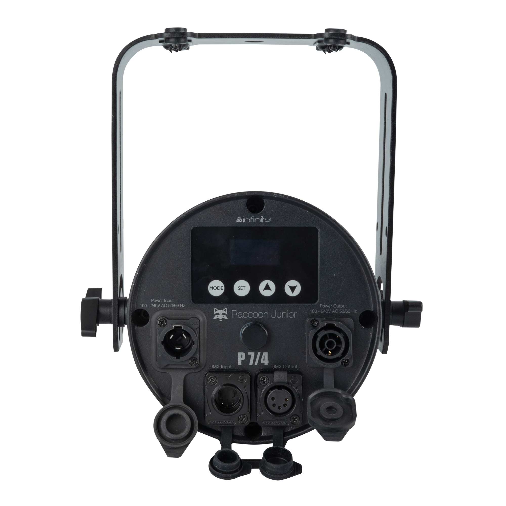 Infinity Raccoon Junior P4/7  - Infinity | Bellalite