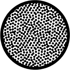 Connect Dots - Rosco | Bellalite