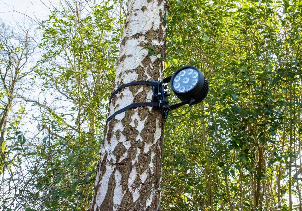 Admiral Woodpecker Tree/Pole Bracket Silver - Admiral Staging | Bellalite Admiral Woodpecker Tree/Pole Bracket Silver - Admiral Staging | Bellalite