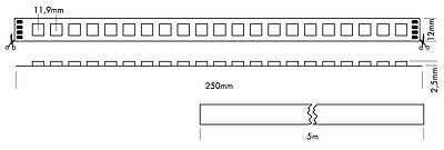 Flex Strip Dynamic White G2, per meter Dynamisk färgtemperatur - PROLED | Bellalite Flex Strip Dynamic White G2, per meter Dynamisk färgtemperatur - PROLED | Bellalite