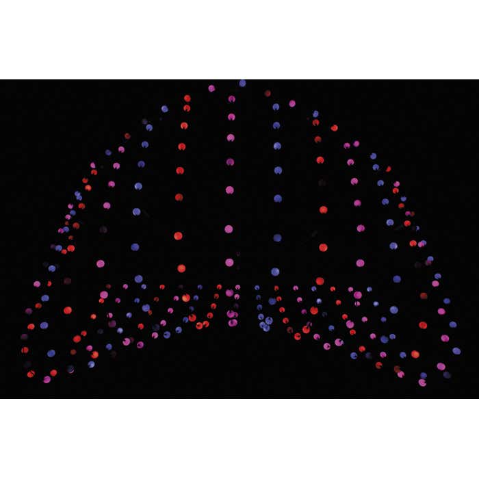 Pixel Bubble 75 Set Multi-colour LED Ball Matrix - Showtec | Bellalite Pixel Bubble 75 Set Multi-colour LED Ball Matrix - Showtec | Bellalite