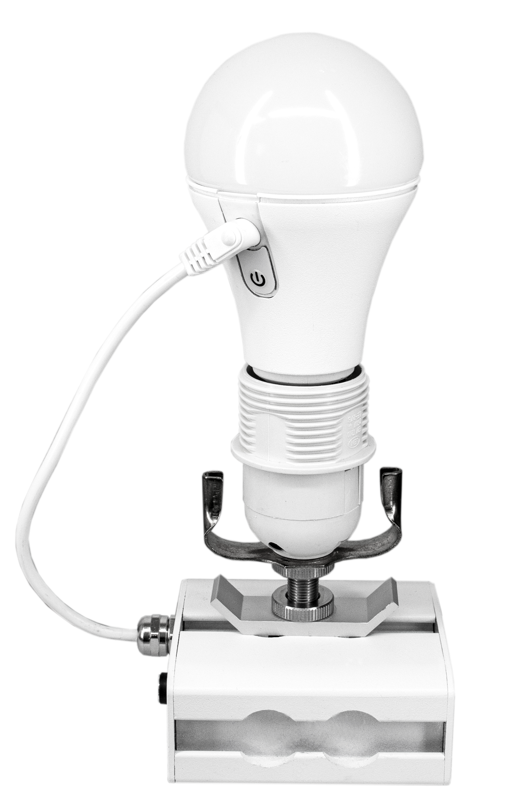 Astera NYX Bulb Vit - Astera | Bellalite