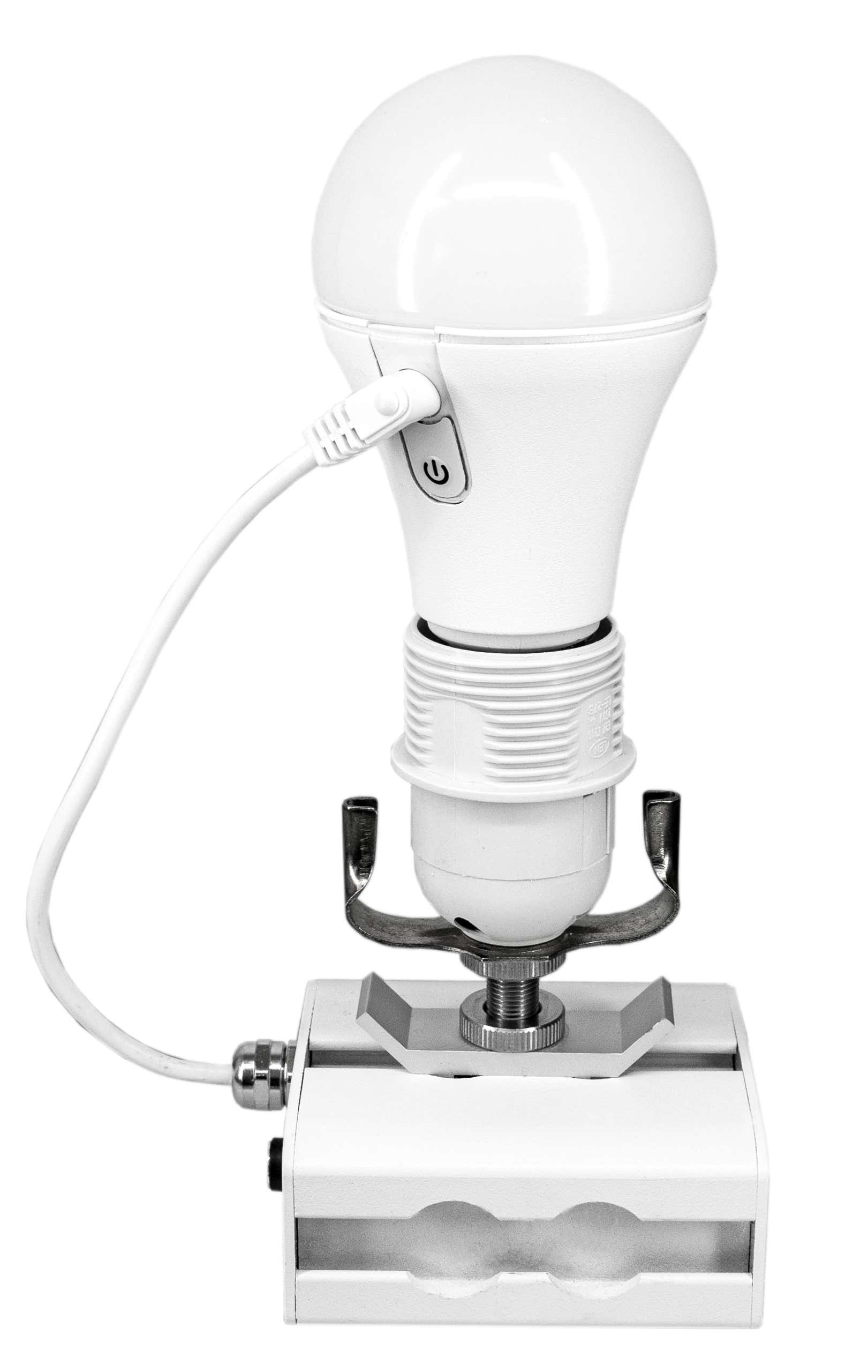 Astera NYX Bulb Vit - Astera | Bellalite Astera NYX Bulb Vit - Astera | Bellalite