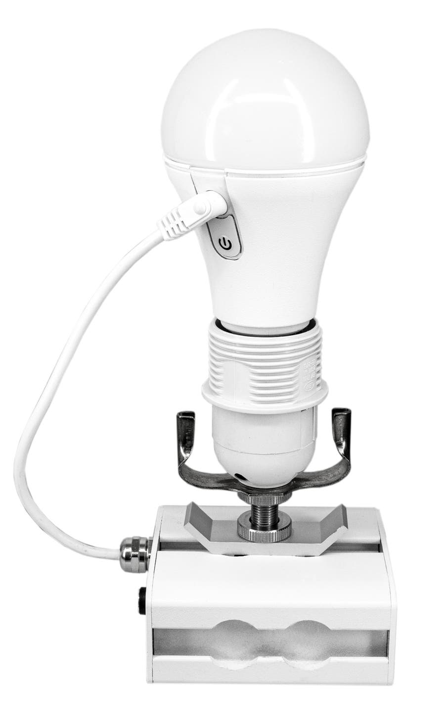 Astera NYX Bulb Vit - Astera | Bellalite Astera NYX Bulb Vit - Astera | Bellalite