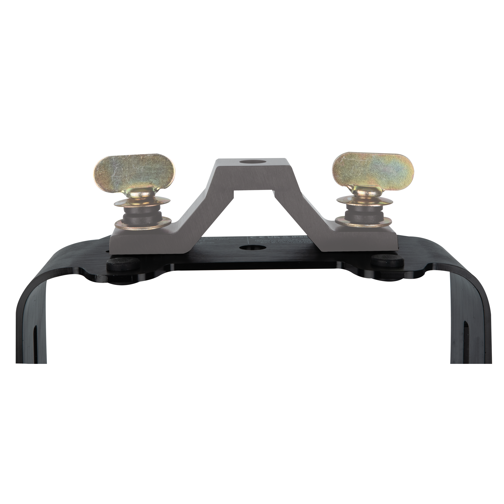 Infinity Raccoon Junior P4/7  - Infinity | Bellalite