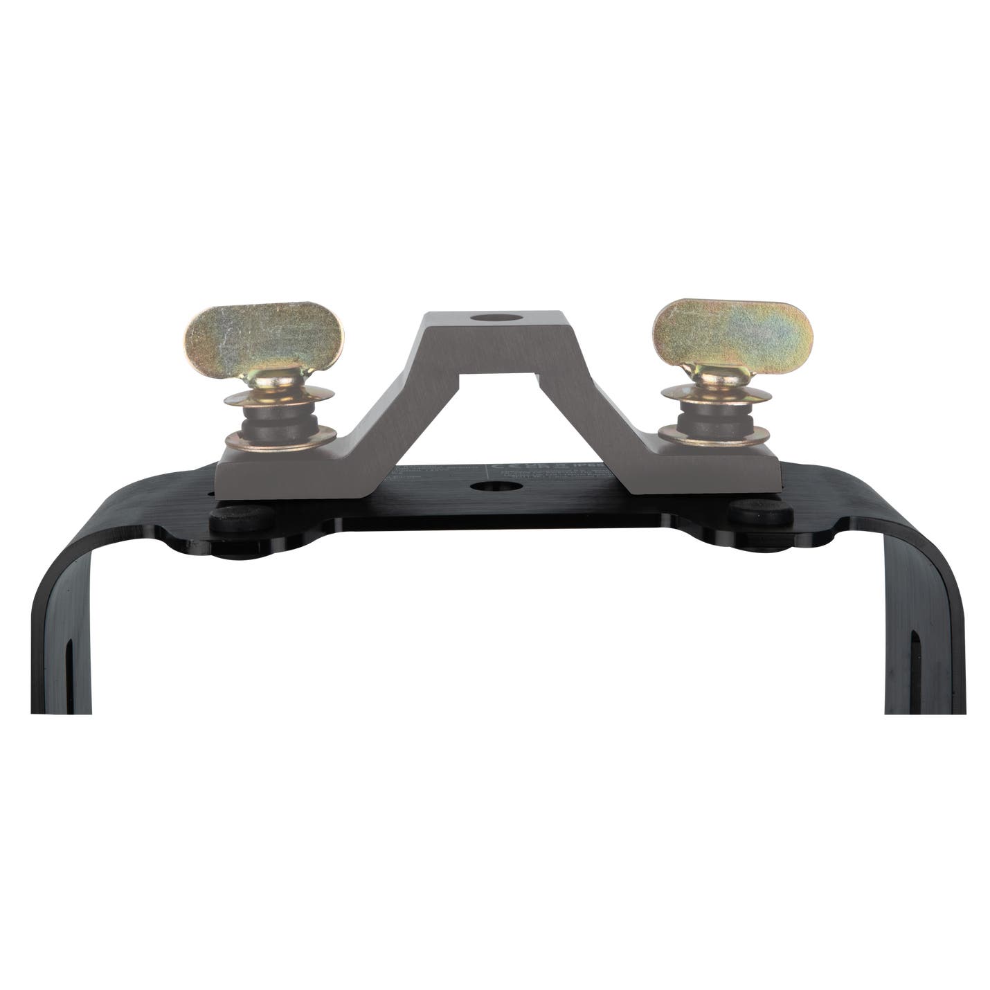 Infinity Raccoon Junior P4/7 - Infinity | Bellalite Infinity Raccoon Junior P4/7 - Infinity | Bellalite