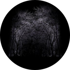 Winter Arbor Glasgobo färg,  E-Size (37,5mm) - Rosco | Bellalite