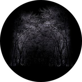 Winter Arbor Glasgobo färg, E-Size (37,5mm) - Rosco | Bellalite Winter Arbor Glasgobo färg, E-Size (37,5mm) - Rosco | Bellalite