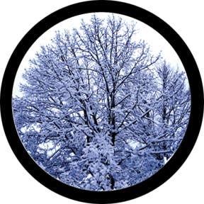 Winter Solstice Glasgobo färg, Size: (ange storlek) - Rosco | Bellalite Winter Solstice Glasgobo färg, Size: (ange storlek) - Rosco | Bellalite