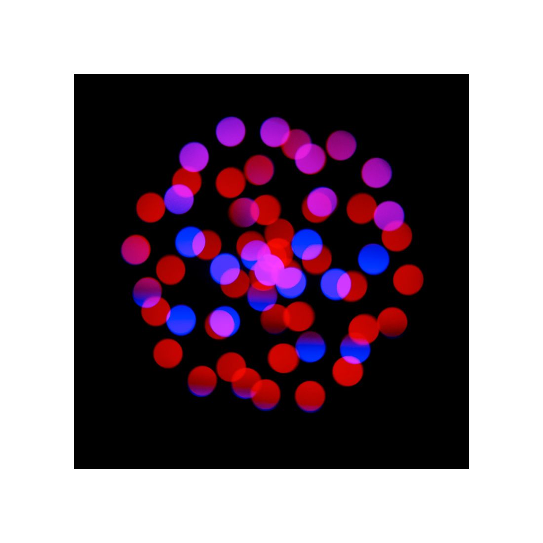 Focus CMY Compact  - ADJ Select | Bellalite