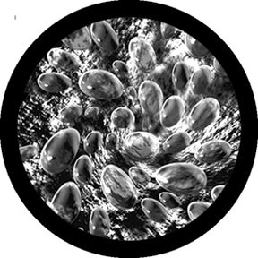 Whirlpool Glasgobo s/v, Size: (ange storlek) - Rosco | Bellalite