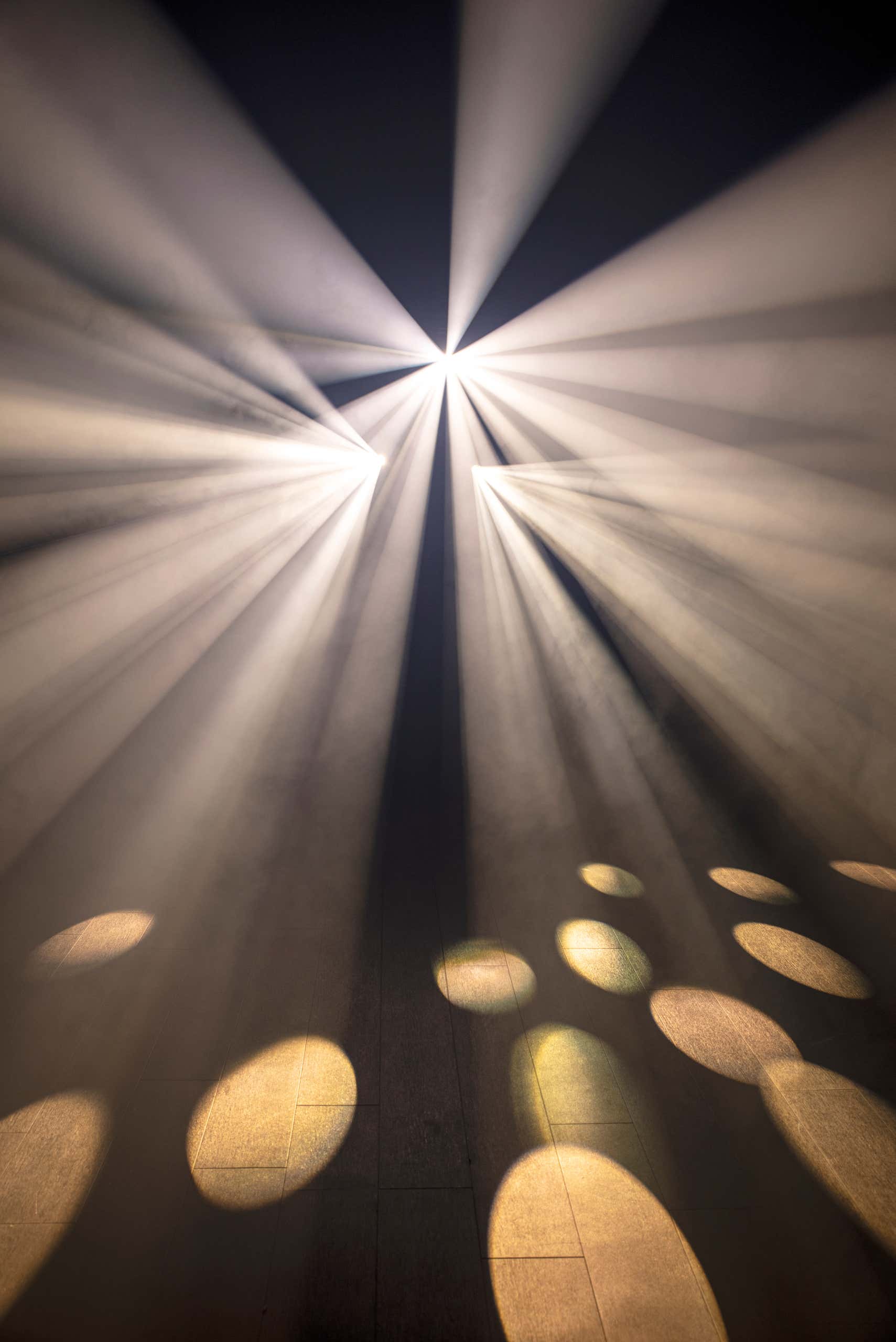 Dataflower 100W LED Effect Light - Showtec | Bellalite Dataflower 100W LED Effect Light - Showtec | Bellalite